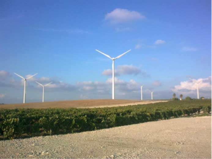 LA RABIA WIND FARM (22 MW)