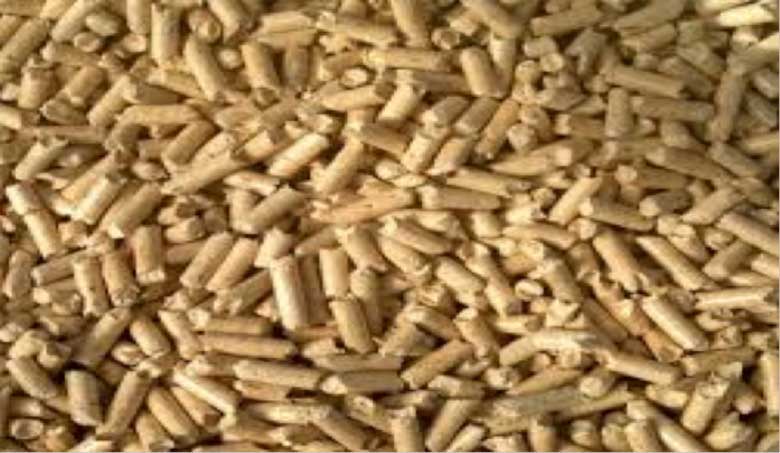 PELLETS PLANT (100.000 T/YEAR)