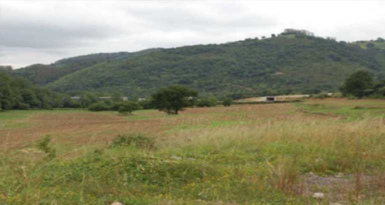 NONAYA FOREST BIOMASS POWER PLANT (10 MW)