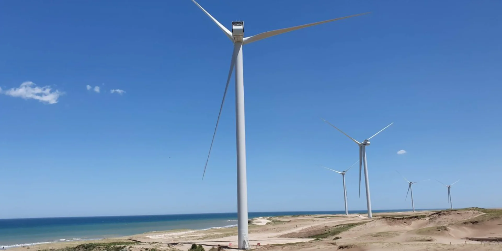 Entra en servicio el Parque Eólico Vientos de Necochea en Buenos Aires