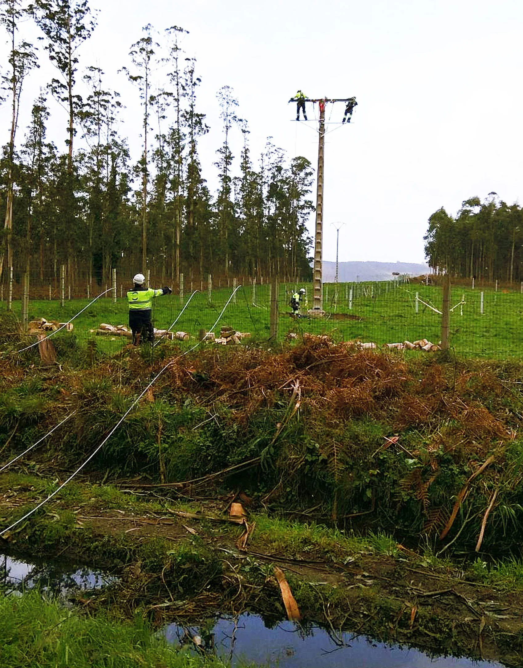 ISASTUR colabora en la reparación de los daños causados por los temporales en Galicia