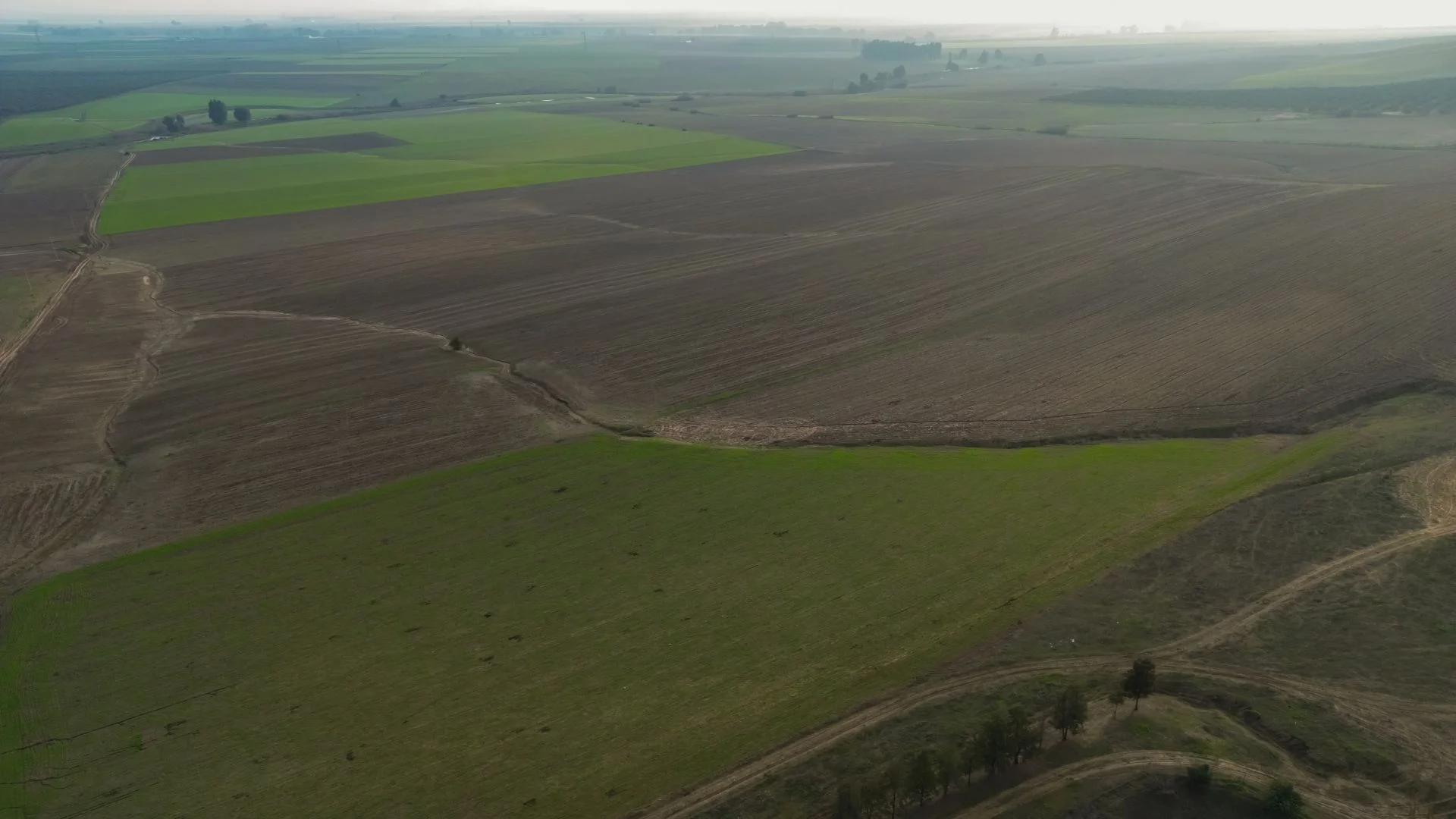 Planta fotovoltaica Valdenebro 44 MW